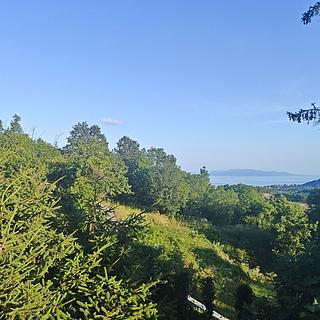 Prodej stavební parcely, 1037m²