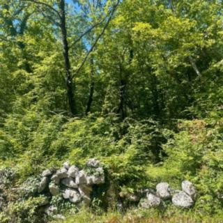 Prodej stavební parcely, 2630m²