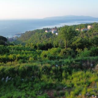 Prodej stavební parcely, 697m²