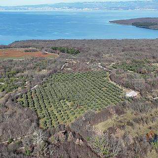 Prodej stavební parcely, 24400m²