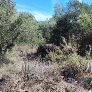 Prodej stavební parcely, 504m²