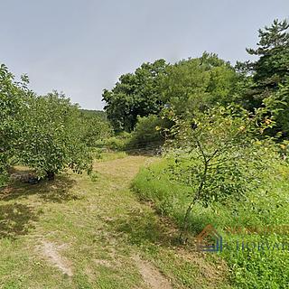 Prodej stavební parcely, 1941m²