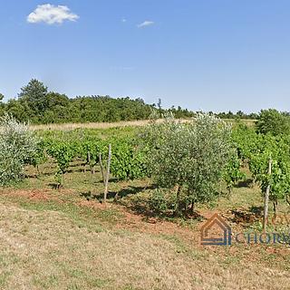 Prodej stavební parcely, 7595m²