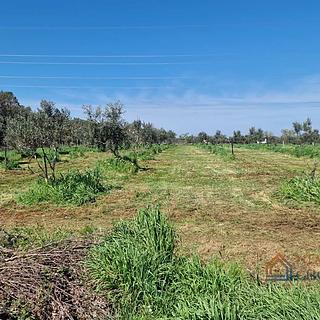 Prodej stavební parcely, 9600m²