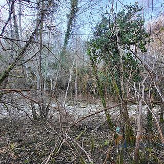 Prodej stavební parcely, 6482m²