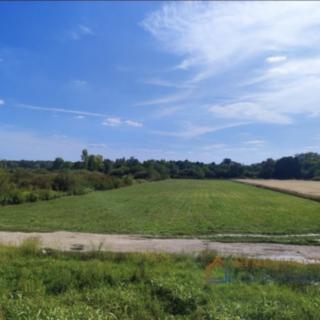 Prodej stavební parcely, 5984m²