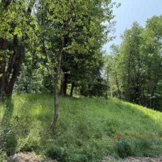 Prodej stavební parcely, 1147m²