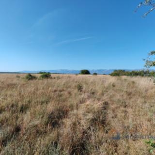 Prodej stavební parcely, 5752m²