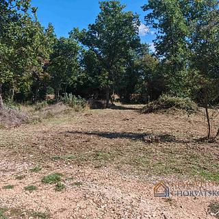 Prodej stavební parcely, 502m²