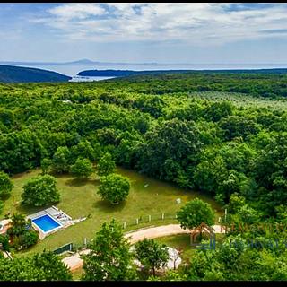 Prodej rodinného domu, 530m²