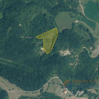 Prodej stavební parcely, 9810m²