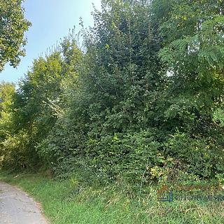 Prodej stavební parcely, 730m²