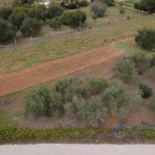 Prodej stavební parcely, 2166m²