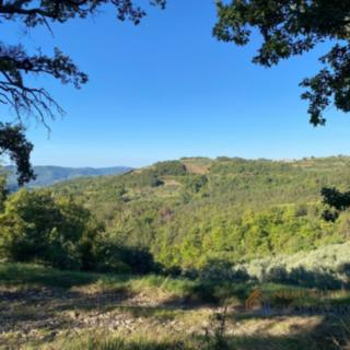 Prodej stavební parcely, 2257m²