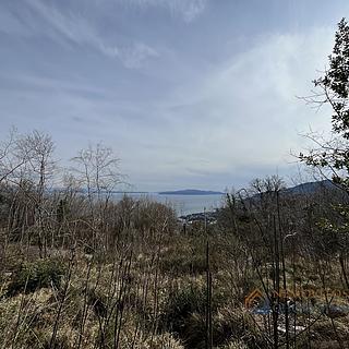 Prodej stavební parcely, 2719m²