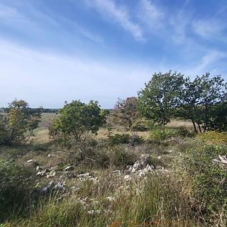 Prodej stavební parcely, 862m²