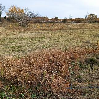 Prodej stavební parcely, 700m²