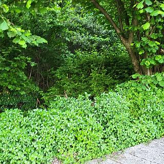 Prodej stavební parcely, 5203m²