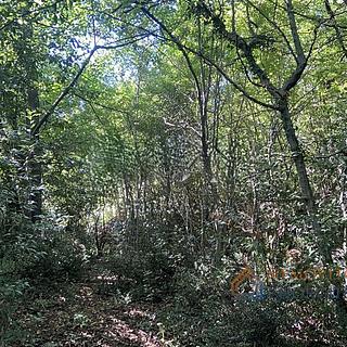 Prodej stavební parcely, 830m²