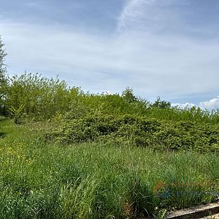 Prodej stavební parcely, 842m²