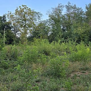 Prodej stavební parcely, 1068m²