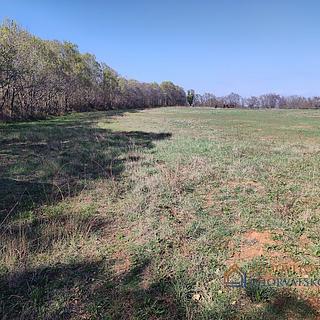 Prodej stavební parcely, 10504m²