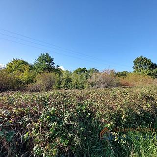 Prodej stavební parcely, 4590m²