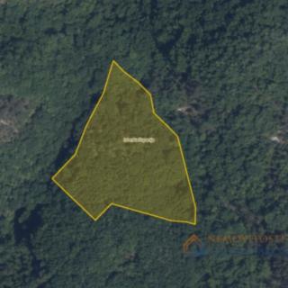 Prodej stavební parcely, 12020m²