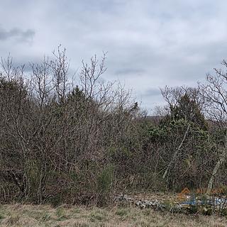 Prodej stavební parcely, 46116m²