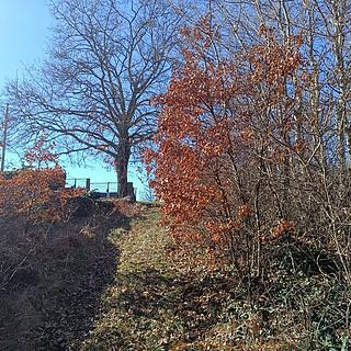 Prodej stavební parcely, 2081m²