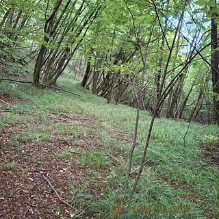 Prodej stavební parcely, 7691m²