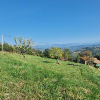 Prodej stavební parcely, 2553m²