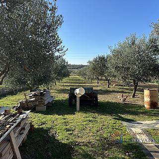 Prodej stavební parcely, 2046m²