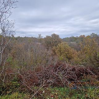 Prodej stavební parcely, 4432m²