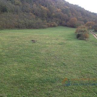 Prodej stavební parcely, 13270m²