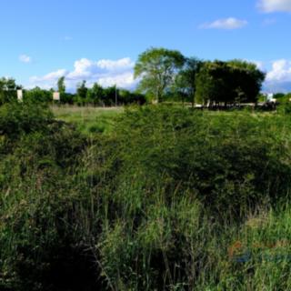 Prodej stavební parcely, 919m²