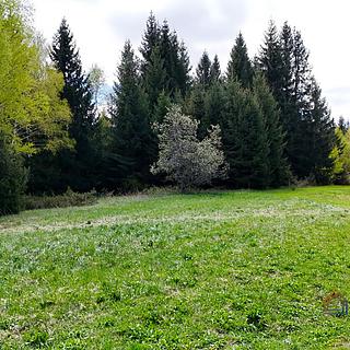 Prodej stavební parcely, 1341m²