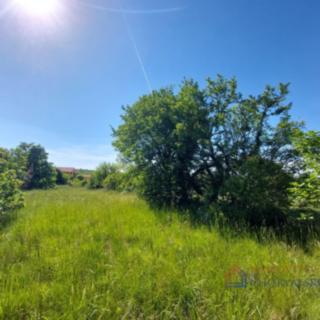 Prodej stavební parcely, 1041m²