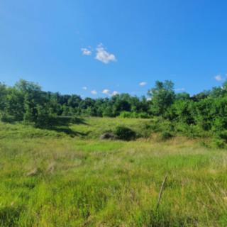 Prodej stavební parcely, 896m²