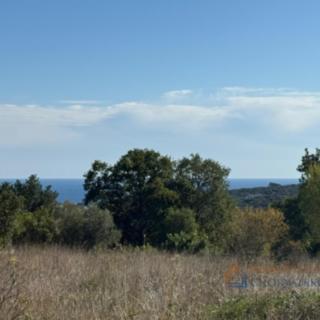 Prodej stavební parcely, 599m²