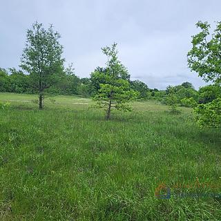 Prodej stavební parcely, 6027m²