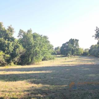 Prodej stavební parcely, 8000m²