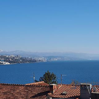 Prodej bytu 5+1 a více, 54m²