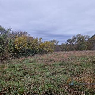 Prodej stavební parcely, 4485m²