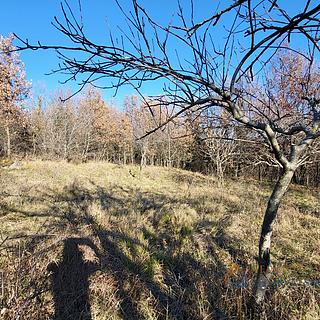 Prodej stavební parcely, 5189m²