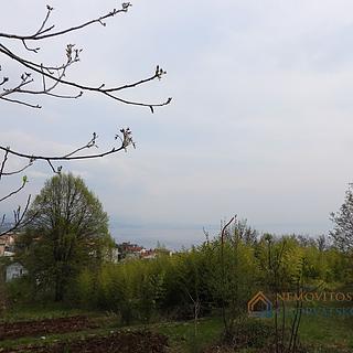 Prodej stavební parcely, 720m²