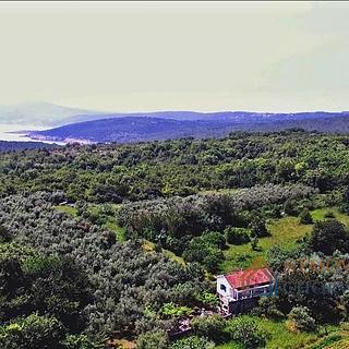 Prodej stavební parcely, 10000m²