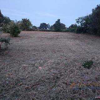 Prodej stavební parcely, 962m²