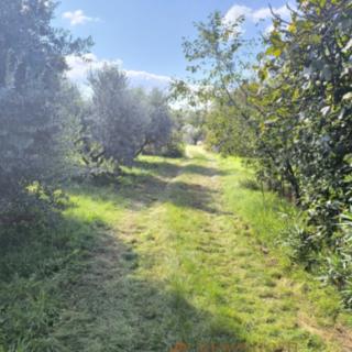 Prodej stavební parcely, 5793m²