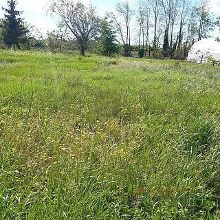 Prodej stavební parcely, 796m²